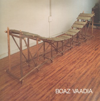 Boaz Vaadia